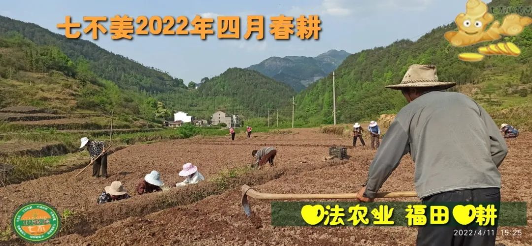 七不姜2022年四月春耕图 七不姜2022年四月春耕图