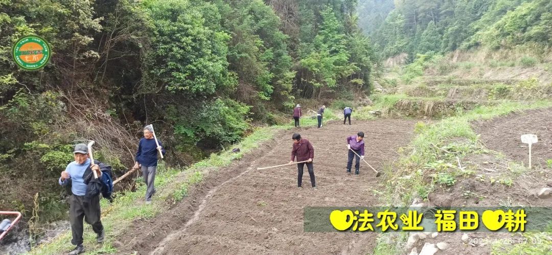 2023年4月-5月 七不姜春播图!家庭厨房生姜如何去皮切片 七不姜5月促销优惠劵 2023年4月-5月 七不姜春播图!家庭厨房生姜如何去皮切片 七不姜5月促销优惠劵