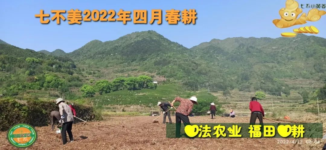 七不姜2022年四月春耕图 七不姜2022年四月春耕图