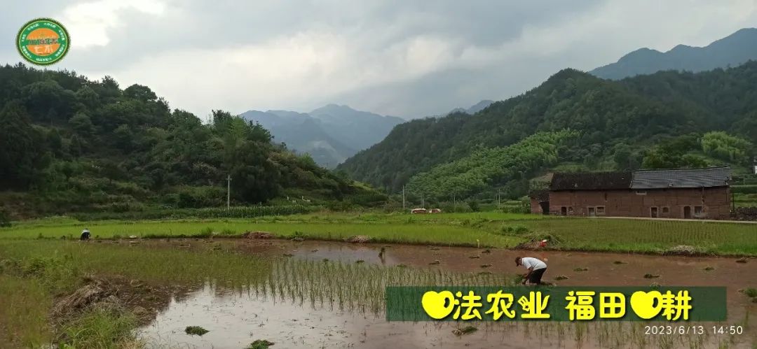 (●'◡'●)6月庆祝春播春种顺利完成! 姜膏姜油 端午糯米 会员积分换购特惠 ,2023预售大米 会员折上折 6.18折 (●'◡'●)6月庆祝春播春种顺利完成! 姜膏姜油 端午糯米 会员积分换购特惠 ,2023预售大米 会员折上折 6.18折