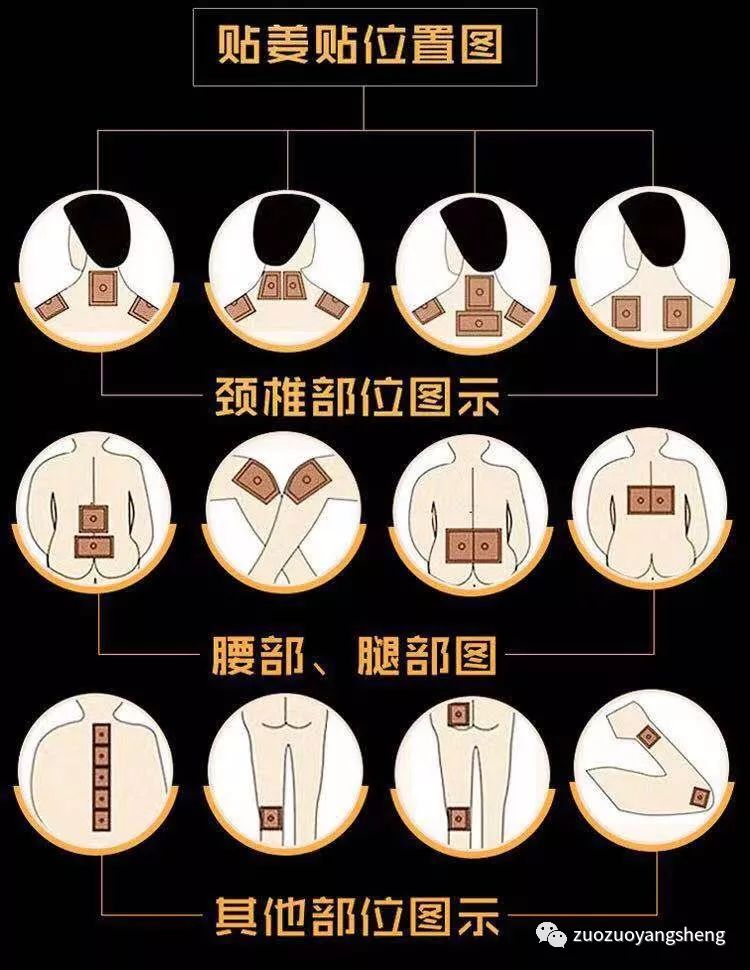 穴位姜贴,24小时超强保温! 穴位姜贴,24小时超强保温!