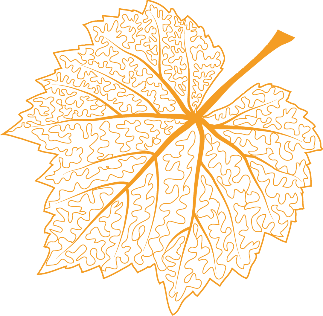 嗨，一起来“姜”快乐进行到底！