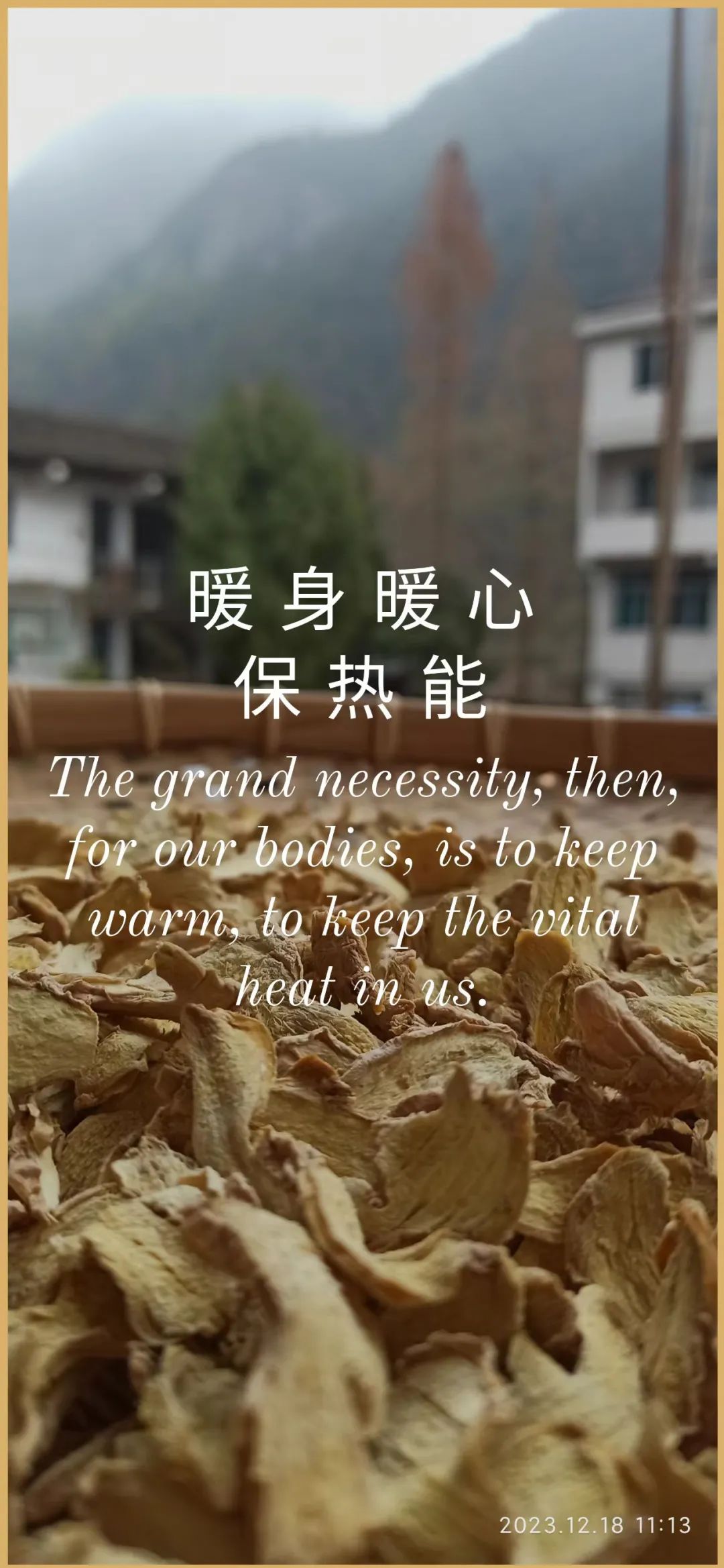 2024年1月新年快乐!元旦快乐!优惠“卷”送给您收下。 2024年1月新年快乐!元旦快乐!优惠“卷”送给您收下。