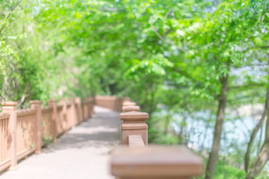 仙居仙景 | 想你的风还是吹到了仙居,“尔滨”老铁们!看仙居给咱整点啥→ 仙居仙景 | 想你的风还是吹到了仙居,“尔滨”老铁们!看仙居给咱整点啥→