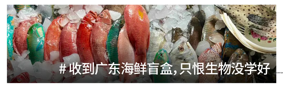 一种南方罕见的扛冻核武器，出现在台州