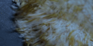 霜雪将至,收姜窖藏,再做几道暖暖的姜味小食 霜雪将至,收姜窖藏,再做几道暖暖的姜味小食