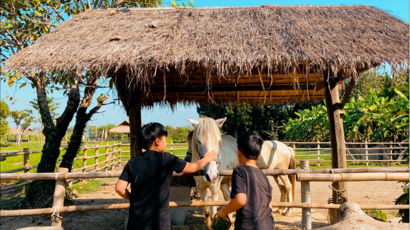 他山之石 | 清迈的30亩生姜农场,亲子间的自然学堂 他山之石 | 清迈的30亩生姜农场,亲子间的自然学堂