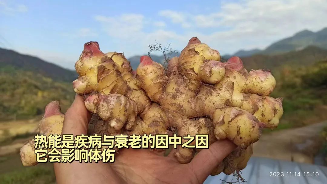 2024年4月春暖花开！春耕优惠“卷”
