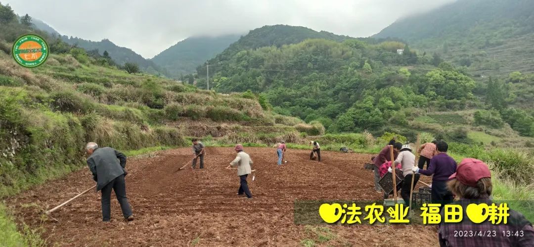 2023年4月-5月 七不姜春播图!家庭厨房生姜如何去皮切片 七不姜5月促销优惠劵 2023年4月-5月 七不姜春播图!家庭厨房生姜如何去皮切片 七不姜5月促销优惠劵