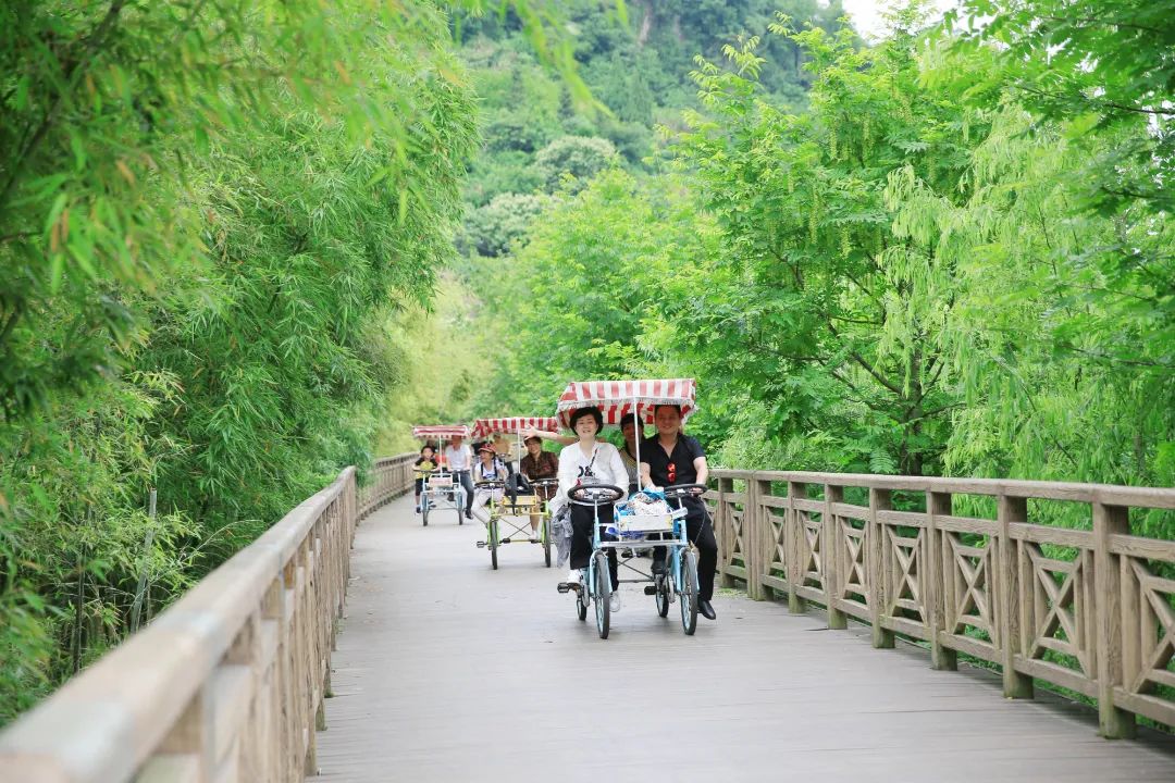 仙居仙景 | 想你的风还是吹到了仙居,“尔滨”老铁们!看仙居给咱整点啥→ 仙居仙景 | 想你的风还是吹到了仙居,“尔滨”老铁们!看仙居给咱整点啥→
