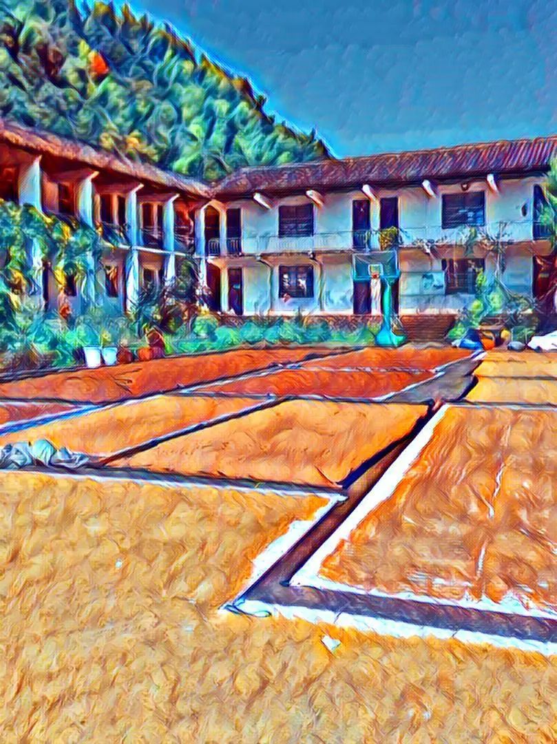 世界粮食日10月16日 特惠打包价 包邮 5斤鲜姜 +5斤 新鲜大米 自然生态安全健康 粮食 世界粮食日10月16日 特惠打包价 包邮 5斤鲜姜 +5斤 新鲜大米 自然生态安全健康 粮食