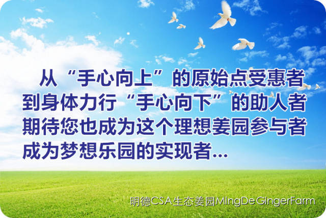 明德CSA生态姜园 - 一个革新的农业未来!尊敬的未来合伙人,诚挚邀请您成为七不姜姜园的股东合伙人.... 明德CSA生态姜园 - 一个革新的农业未来!尊敬的未来合伙人,诚挚邀请您成为七不姜姜园的股东合伙人....