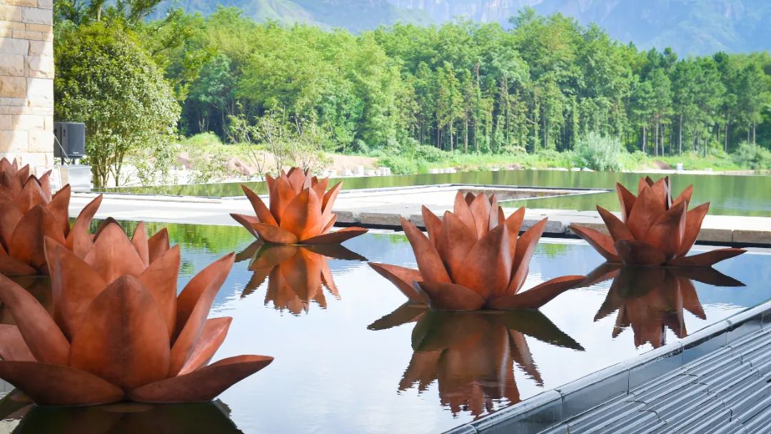 仙居仙景 | 想你的风还是吹到了仙居,“尔滨”老铁们!看仙居给咱整点啥→ 仙居仙景 | 想你的风还是吹到了仙居,“尔滨”老铁们!看仙居给咱整点啥→