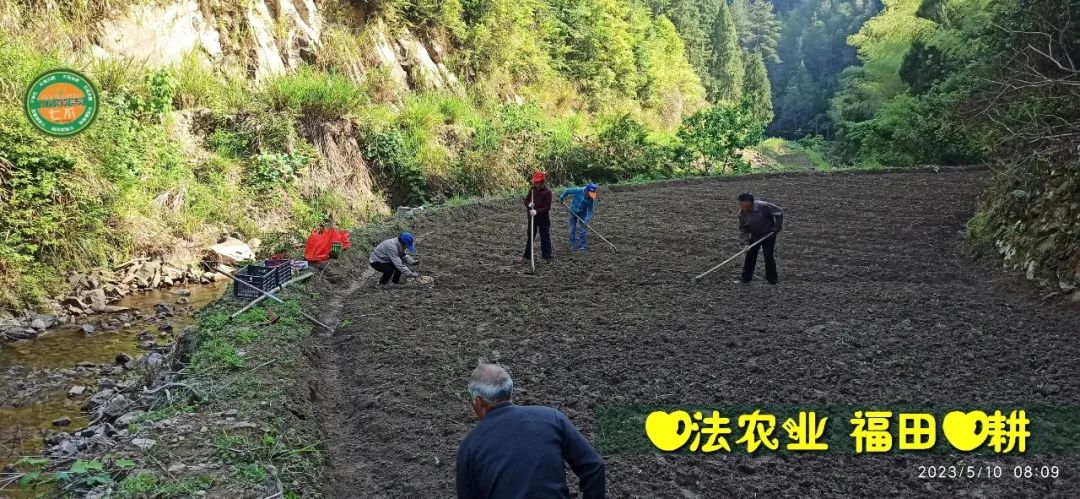 2023年4月-5月 七不姜春播图!家庭厨房生姜如何去皮切片 七不姜5月促销优惠劵 2023年4月-5月 七不姜春播图!家庭厨房生姜如何去皮切片 七不姜5月促销优惠劵