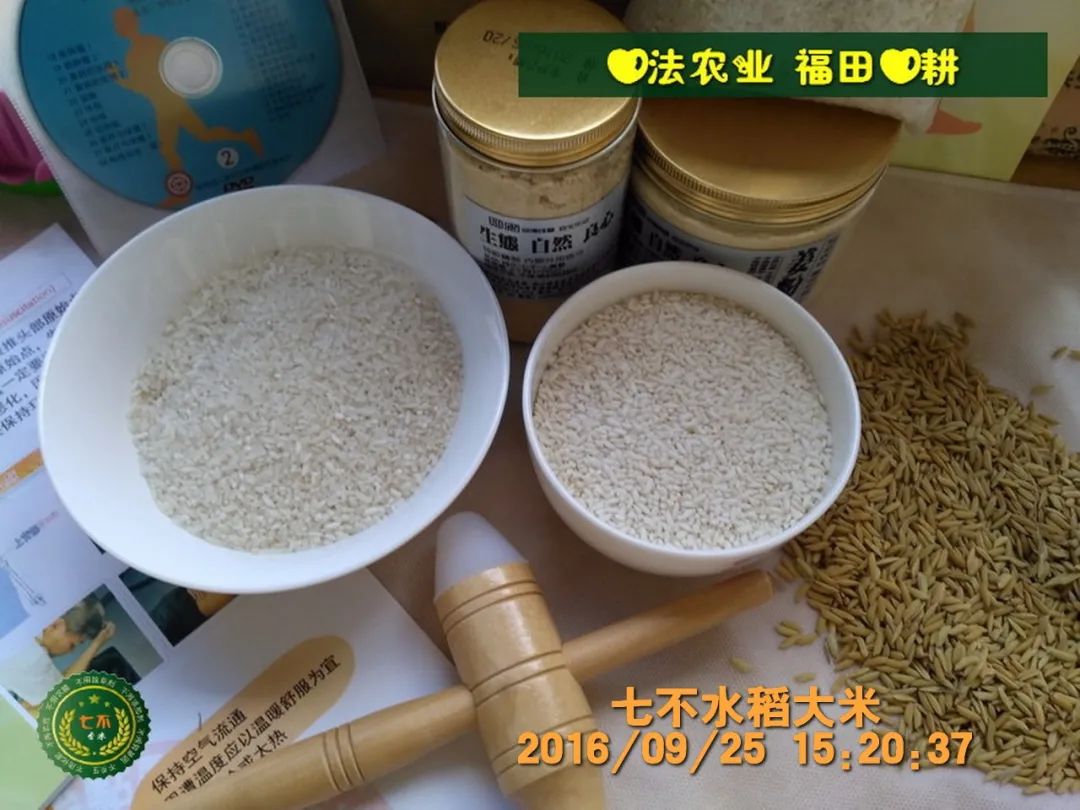 七不红米水稻9月11日上市现货销售-新米限时特惠 家庭大米专场:红米/糯米/ 黑米/泰两优217/中浙优H7 品种多质量优 七不红米水稻9月11日上市现货销售-新米限时特惠 家庭大米专场:红米/糯米/ 黑米/泰两优217/中浙优H7 品种多质量优