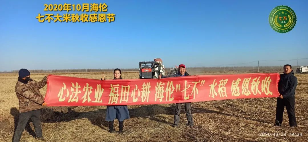 2020年七不小黄姜秋收感恩节邀请函 11月8日-15日 心法农业 福田心耕 欢喜农耕 心悦自然（浙江仙居仁庄村）