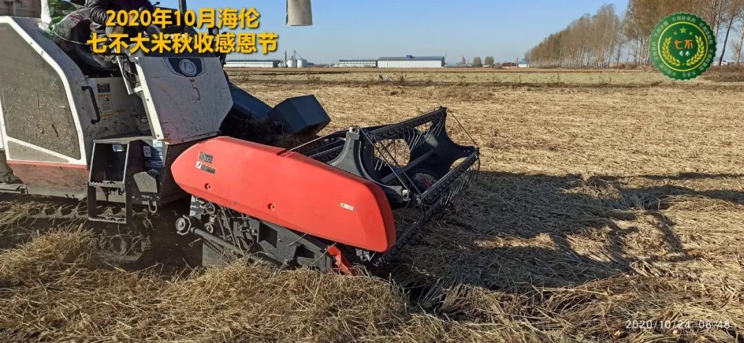 【海伦七不水稻秋收报恩健康行】海伦寒地黑土七不香稻秋收采风 2020.10.24 【海伦七不水稻秋收报恩健康行】海伦寒地黑土七不香稻秋收采风 2020.10.24