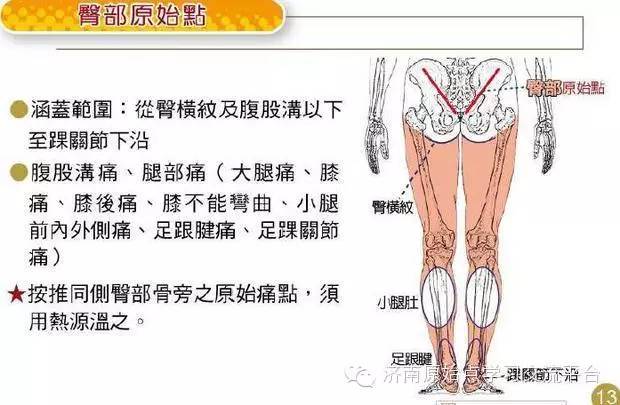 山东原始点：尿酸值高，痛风案例