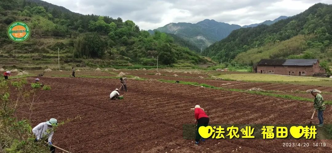 2023年4月-5月 七不姜春播图!家庭厨房生姜如何去皮切片 七不姜5月促销优惠劵 2023年4月-5月 七不姜春播图!家庭厨房生姜如何去皮切片 七不姜5月促销优惠劵