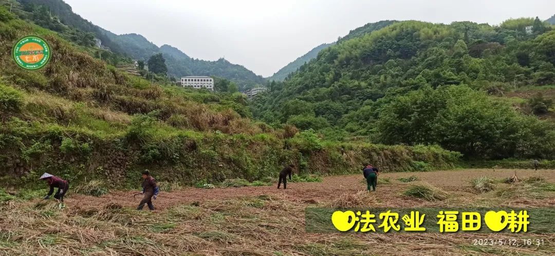 2023年4月-5月 七不姜春播图!家庭厨房生姜如何去皮切片 七不姜5月促销优惠劵 2023年4月-5月 七不姜春播图!家庭厨房生姜如何去皮切片 七不姜5月促销优惠劵