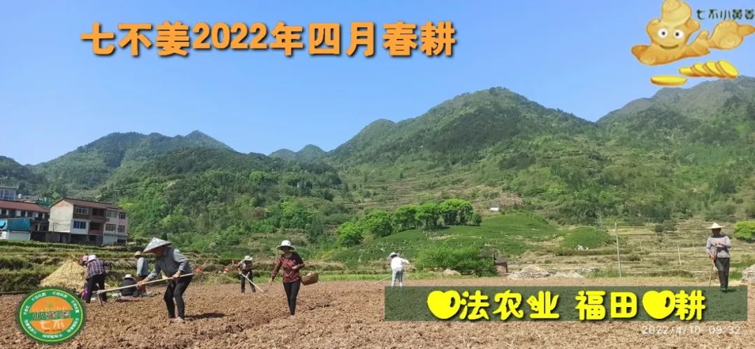 七不姜2022年四月春耕图 七不姜2022年四月春耕图