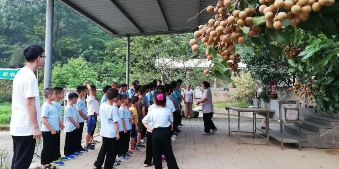 2024年厦门明道国学堂暑期少儿“耕读结合”特色国学夏令营 招生简章 2024年厦门明道国学堂暑期少儿“耕读结合”特色国学夏令营 招生简章