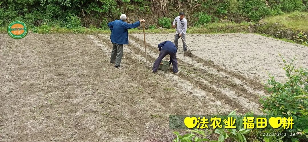 2023年4月-5月 七不姜春播图!家庭厨房生姜如何去皮切片 七不姜5月促销优惠劵 2023年4月-5月 七不姜春播图!家庭厨房生姜如何去皮切片 七不姜5月促销优惠劵