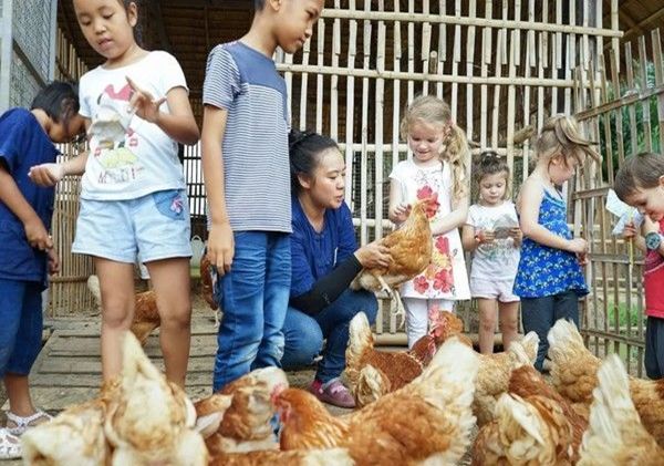 泰国Ginger Farm,30亩土地的亲子农场天天客流爆满! 泰国Ginger Farm,30亩土地的亲子农场天天客流爆满!