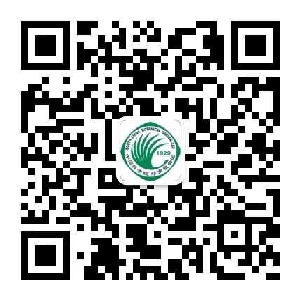 世界最大姜园在广州,带你到植物园看“大莪术” 世界最大姜园在广州,带你到植物园看“大莪术”