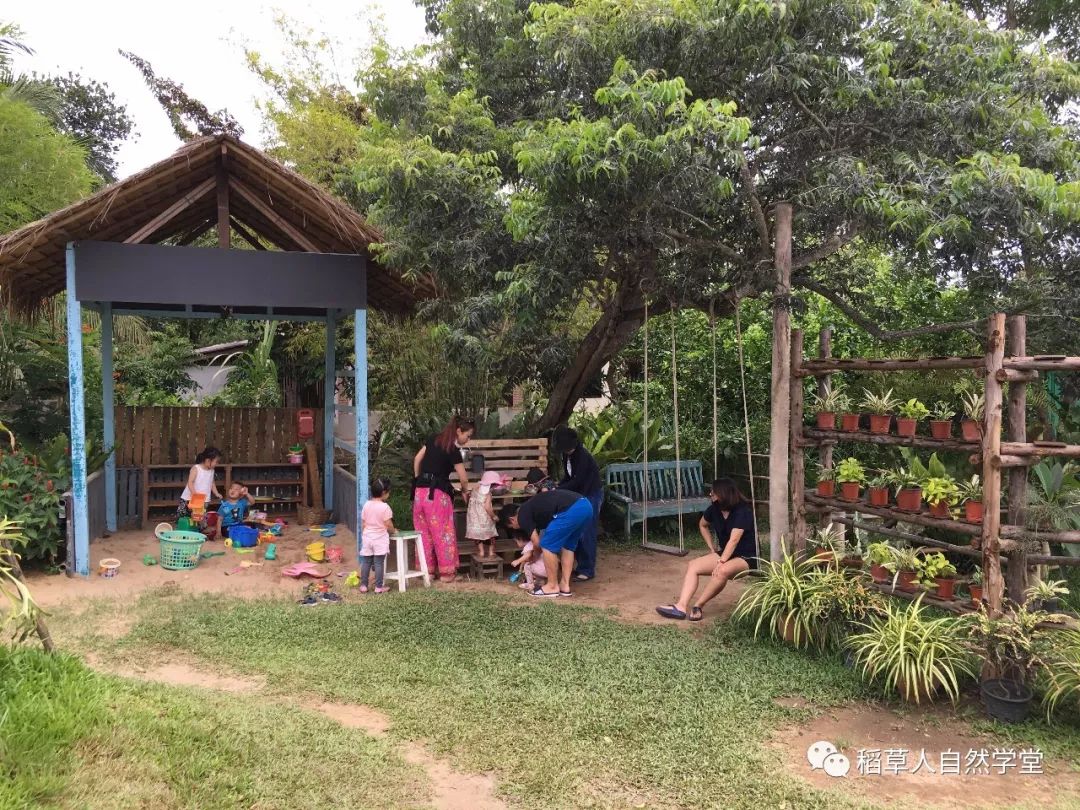 探访清迈Ginger Farm(2018.7.7) 探访清迈Ginger Farm(2018.7.7)