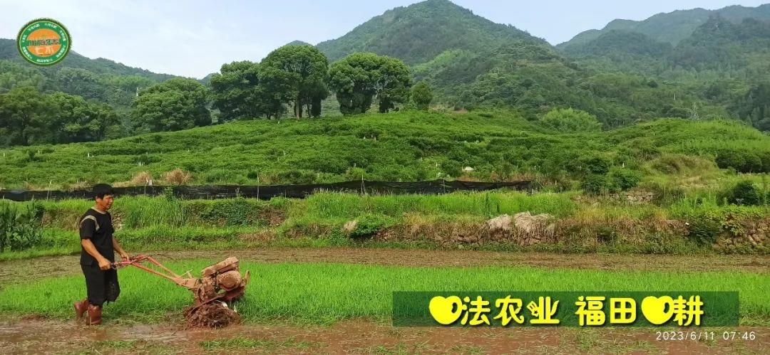 (●'◡'●)6月庆祝春播春种顺利完成! 姜膏姜油 端午糯米 会员积分换购特惠 ,2023预售大米 会员折上折 6.18折 (●'◡'●)6月庆祝春播春种顺利完成! 姜膏姜油 端午糯米 会员积分换购特惠 ,2023预售大米 会员折上折 6.18折