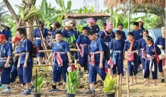 泰国Ginger Farm,30亩土地的亲子农场天天客流爆满! 泰国Ginger Farm,30亩土地的亲子农场天天客流爆满!