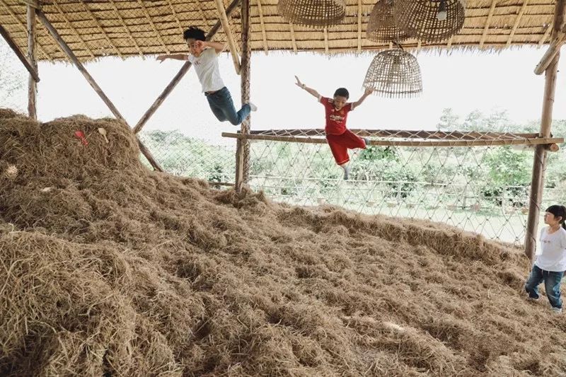 泰国Ginger Farm,30亩土地的亲子农场天天客流爆满! 泰国Ginger Farm,30亩土地的亲子农场天天客流爆满!