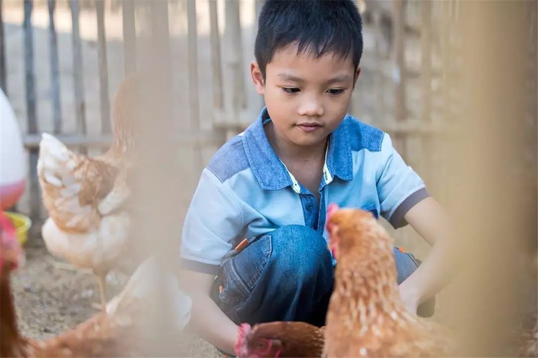清迈 | 这家开业不久的亲子农庄,太让人动心。 清迈 | 这家开业不久的亲子农庄,太让人动心。
