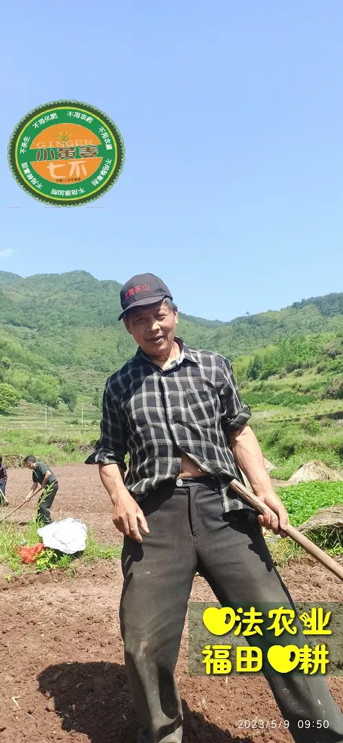 2023年4月-5月 七不姜春播图!家庭厨房生姜如何去皮切片 七不姜5月促销优惠劵 2023年4月-5月 七不姜春播图!家庭厨房生姜如何去皮切片 七不姜5月促销优惠劵