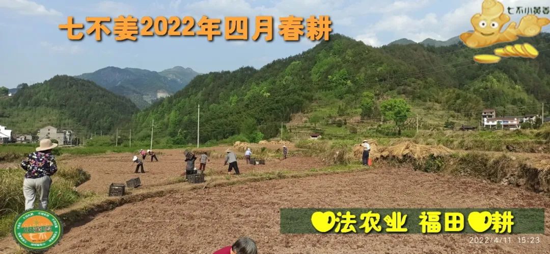七不姜2022年四月春耕图 七不姜2022年四月春耕图