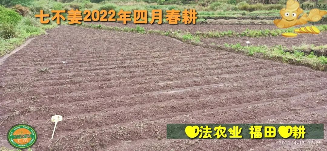 七不姜2022年四月春耕图 七不姜2022年四月春耕图