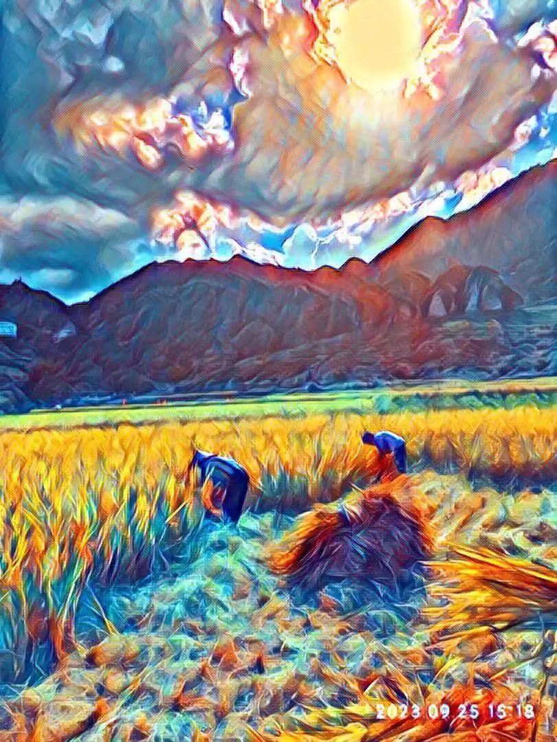 世界粮食日10月16日 特惠打包价 包邮 5斤鲜姜 +5斤 新鲜大米 自然生态安全健康 粮食 世界粮食日10月16日 特惠打包价 包邮 5斤鲜姜 +5斤 新鲜大米 自然生态安全健康 粮食