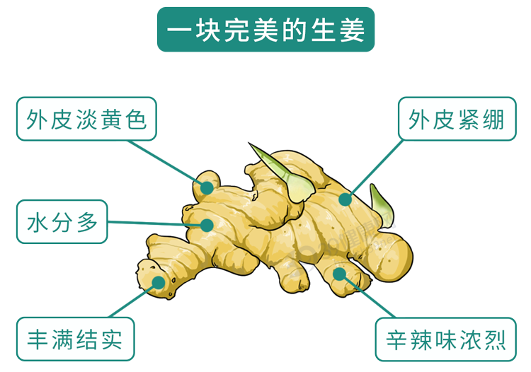 “吃姜不去皮,吃错一生疾”?生姜到底要不要去皮?告诉你答案 “吃姜不去皮,吃错一生疾”?生姜到底要不要去皮?告诉你答案