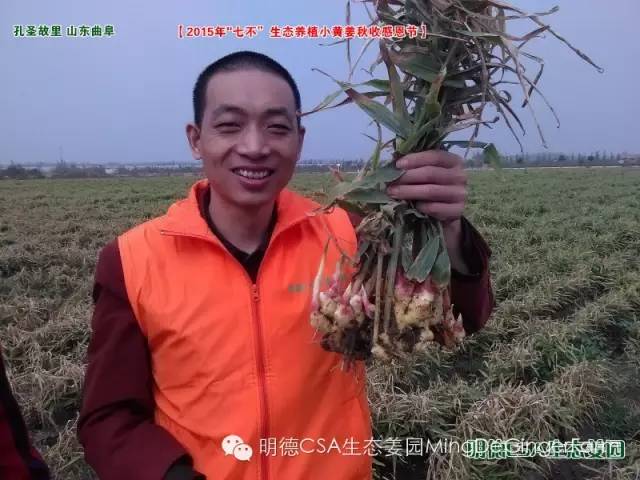 【2015年七不”生态养植小黄姜秋收感恩节】之一 山东曲阜庆典篇 2015.10.24 【2015年七不”生态养植小黄姜秋收感恩节】之一 山东曲阜庆典篇 2015.10.24