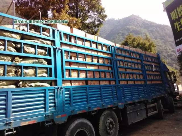 【2015年七不”生态养植小黄姜秋收感恩节】之一 山东曲阜庆典篇 2015.10.24 【2015年七不”生态养植小黄姜秋收感恩节】之一 山东曲阜庆典篇 2015.10.24