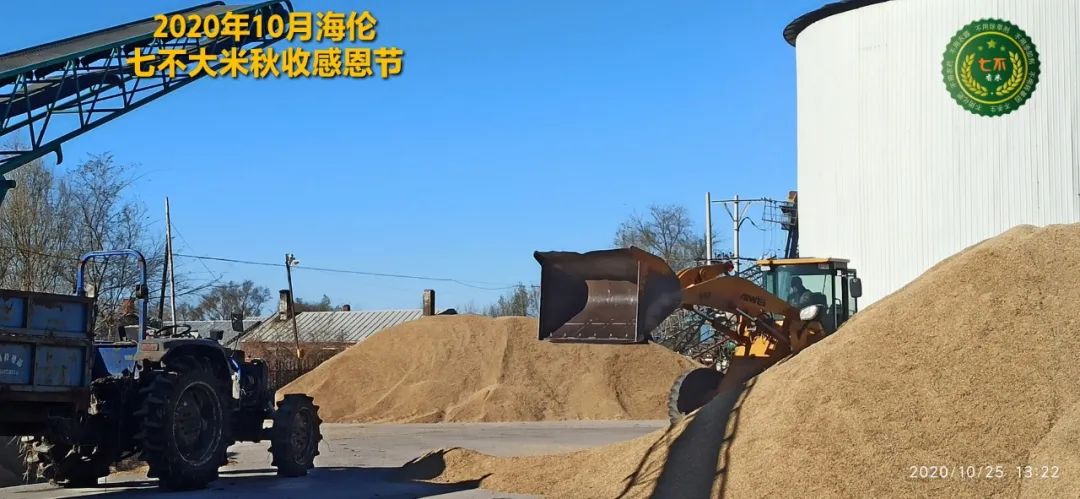 【海伦七不水稻秋收报恩健康行】海伦寒地黑土七不香稻秋收采风 2020.10.24 【海伦七不水稻秋收报恩健康行】海伦寒地黑土七不香稻秋收采风 2020.10.24