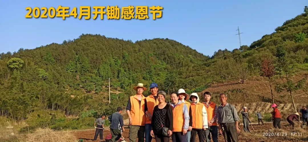 秋收告动物虫鸟书：尊敬的诸位动物虫鸟先生小姐们，七不小黄姜宝贝们