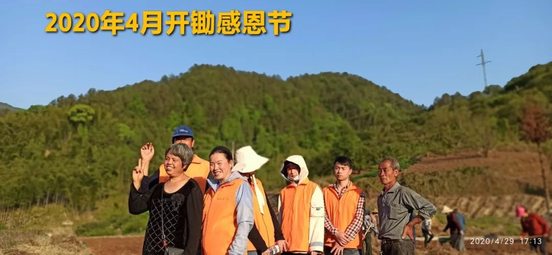 秋收告动物虫鸟书：尊敬的诸位动物虫鸟先生小姐们，七不小黄姜宝贝们