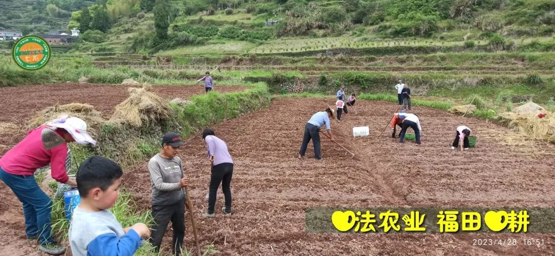 2023年4月-5月 七不姜春播图!家庭厨房生姜如何去皮切片 七不姜5月促销优惠劵 2023年4月-5月 七不姜春播图!家庭厨房生姜如何去皮切片 七不姜5月促销优惠劵