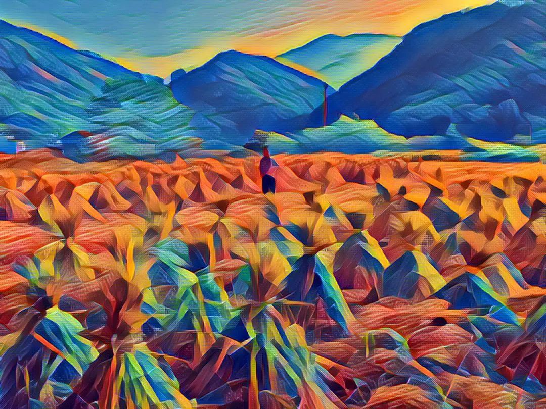 *╭︎( ˙º˙)╯︎*七不水稻秋收 明安农业田园油画展!我们是不是该知足 珍惜一切 就算没有拥有.... *╭︎( ˙º˙)╯︎*七不水稻秋收 明安农业田园油画展!我们是不是该知足 珍惜一切 就算没有拥有....