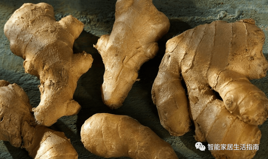 保存生姜不用放冰箱！教你诀窍，生姜不干瘪不发芽，放一年都新鲜
