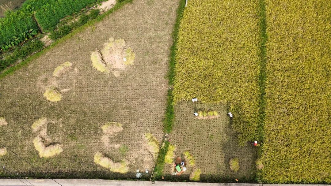 2024年1月新年快乐!元旦快乐!优惠“卷”送给您收下。 2024年1月新年快乐!元旦快乐!优惠“卷”送给您收下。