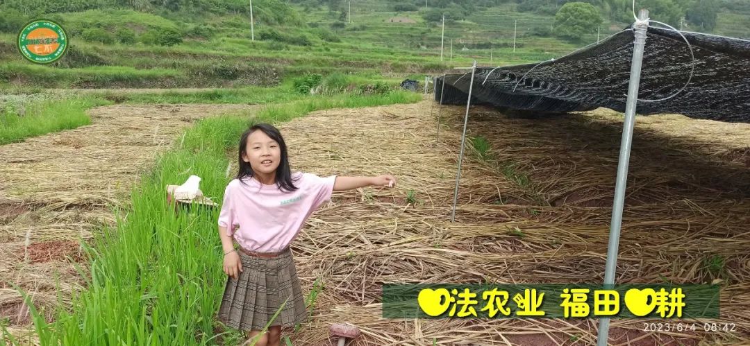 (●'◡'●)6月庆祝春播春种顺利完成! 姜膏姜油 端午糯米 会员积分换购特惠 ,2023预售大米 会员折上折 6.18折 (●'◡'●)6月庆祝春播春种顺利完成! 姜膏姜油 端午糯米 会员积分换购特惠 ,2023预售大米 会员折上折 6.18折