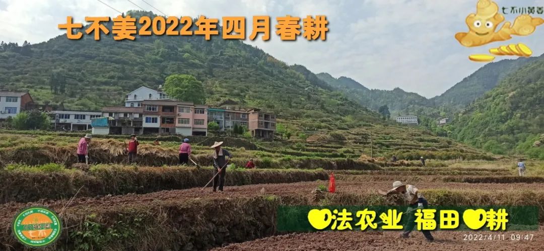 七不姜2022年四月春耕图 七不姜2022年四月春耕图